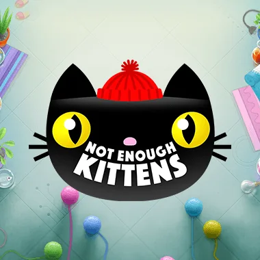 Not Enough Kittens